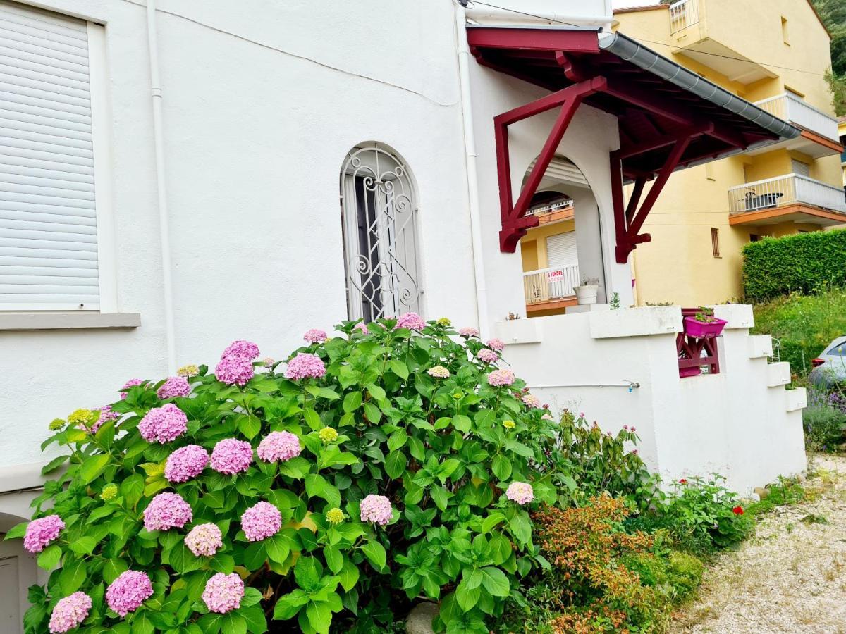 Villa La Closeraie Amélie-les-Bains-Palalda Exterior foto
